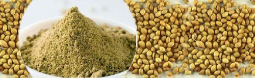 Coriander powder, Packaging Type : PP Bag