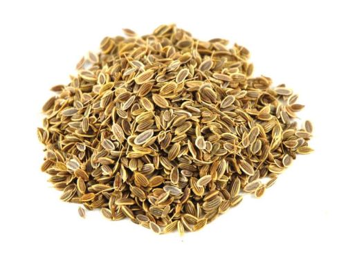 Dill Seeds Form : Seeds