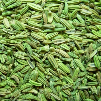 Fennel seeds, Packaging Type : PP bags
