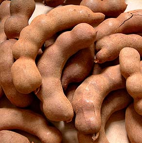 Fresh Seedless Tamarind (Farmer Quality)