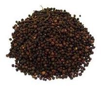 Black Pepper Seeds