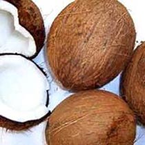 Fresh Coconut