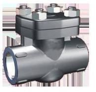 FFTCI Lift Check Valve