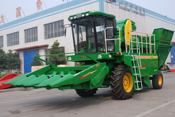 Self Propelled Corn Combine Harvester, Brand Name : AMS