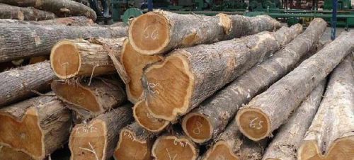 Non Polished Teak Wood Logs, For Making Furniture, Feature : Accurate Dimension, High Strength, Quality Tested