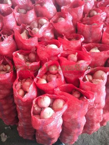 Indian Red Onion, For Cooking, Packaging Type : Net Bag