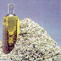 Refined Cottonseed Oil