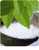 Stevia Extract, Brand Name : shengren