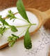 Stevia Sugar, Brand Name : shengren