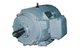 AC Induction Motor