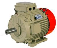 Series Motors, Voltage : 415V±10%, 3 PH.