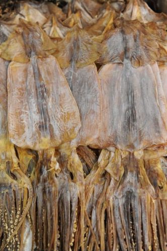 Dried Splendid Squid
