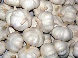 Garlic, Packaging Size : 20 Kg