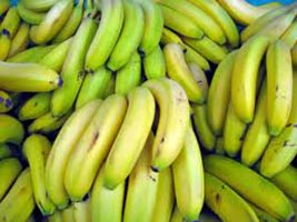 Fresh banana, Application : Daily Use, Traditional Meals