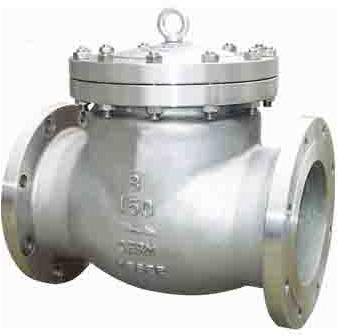 Swing Check Valve