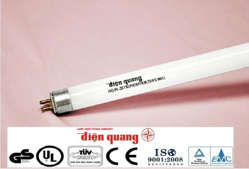 Fluorescent Lamp, Energy Saving Lamp