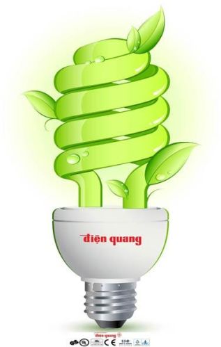 Spiral Compact Fluorescent Lamp