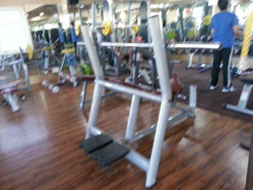 Olympic Flat Bench