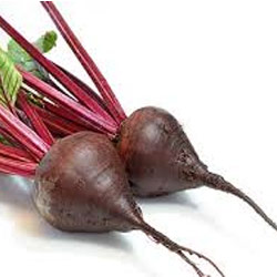 Organic Fresh Beetroot, Shelf Life : 10-15days