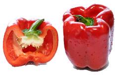 Capsicum