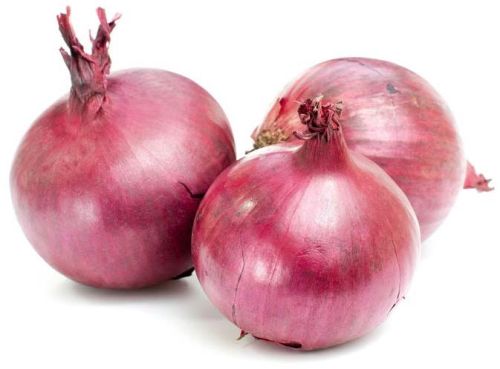 Fresh Onion