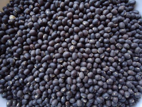 Common Black Matpe Beans, For Cooking