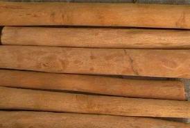 Vietnamese Cassia Cinnamon