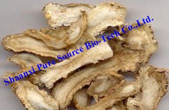 Angelica Root Extract, Brand Name : Pure source
