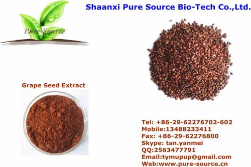 Grape Seed Extract