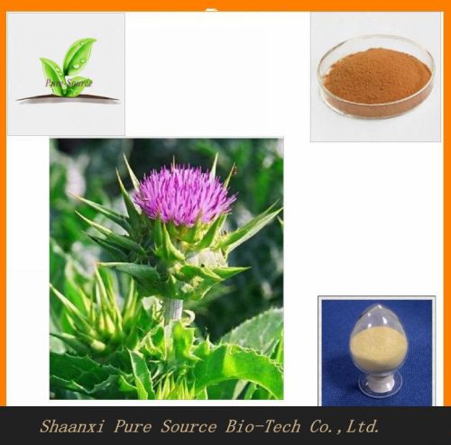 Milk Thistle Extract, Brand Name : pure source