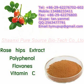 Rose Hip Extract, Brand Name : Pure source