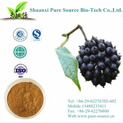 Siberian Ginseng Extract