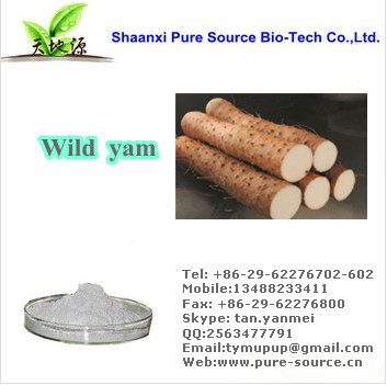 Wild Yam Extract