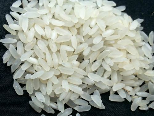 White Short Grain Rice