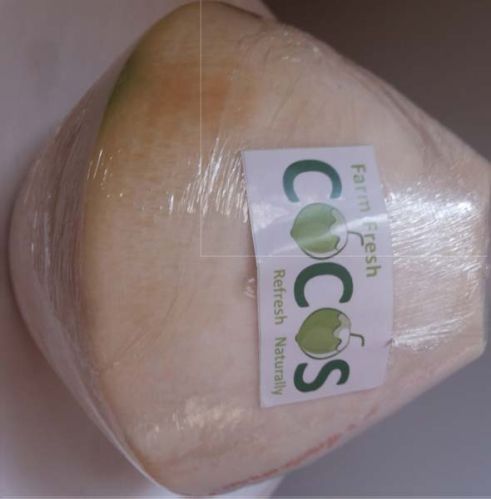 Fresh Young Coconut, Packaging Type : Green