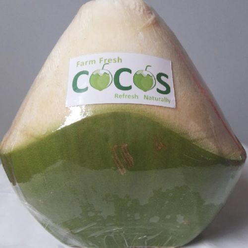 Tender Coconut, Color : Green, Purity : 99%