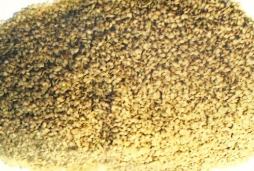 Sesame seeds, Grade Standard : Food Grade