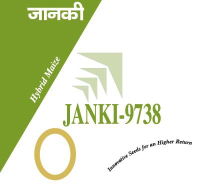 Janki-9738 Hybrid Maize Seeds