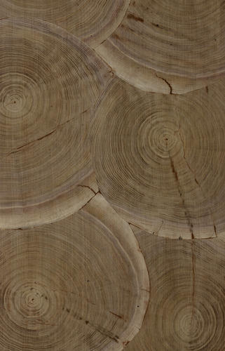 Exotic Veneers, For Doors