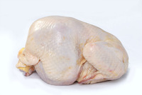 Frozen chicken, Boneless : No smell