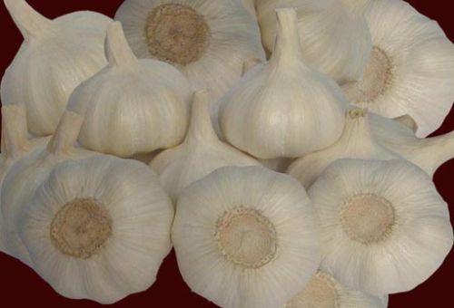 Fresh Garlic, Chinese Garlic, Pure White Garlic