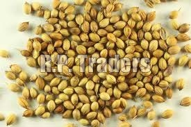 Coriander seeds, Grade Standard : Food Grade