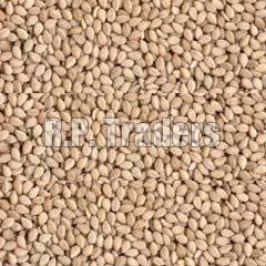 Natural Sesame Seeds