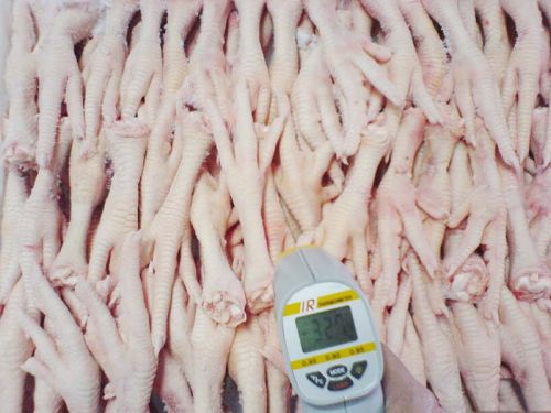 Halal Processed Frozen Chicken Feet