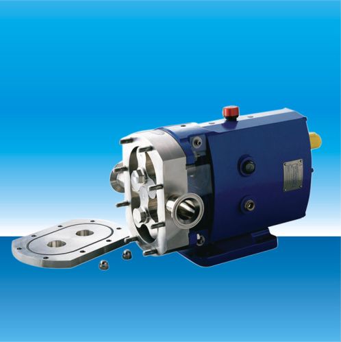 Rotary Pump