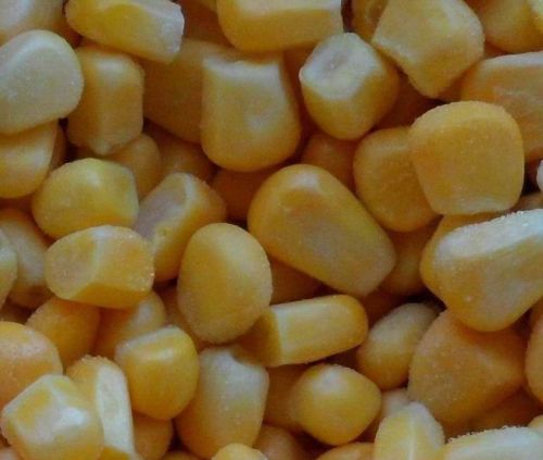 Frozen Sweet Corn, Brand Name : HJ