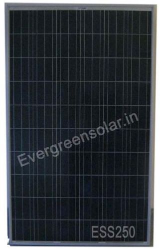 Evergreen 250wp Solar Module