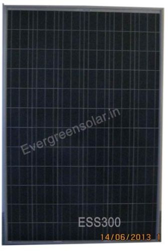 Evergreen 300wp Solar Modules