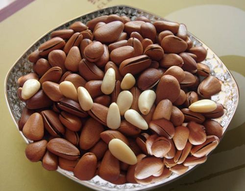Pine Nut