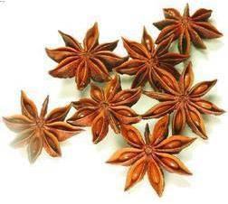 Star Aniseed